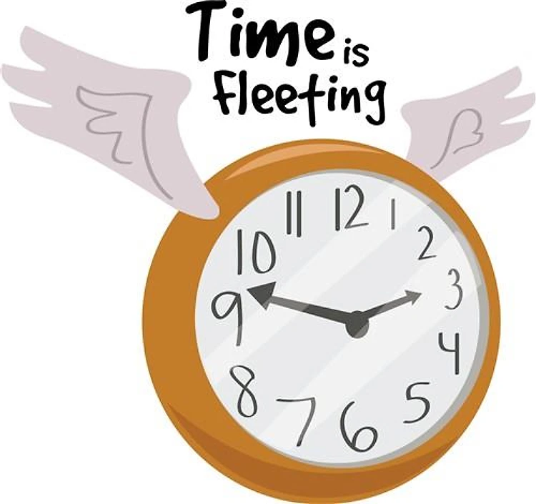 Time Is Fleeting