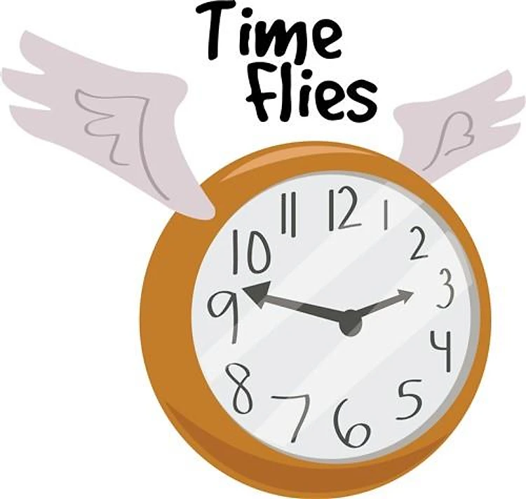 Time Flies
