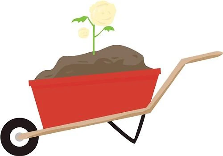 Plant A Sapling