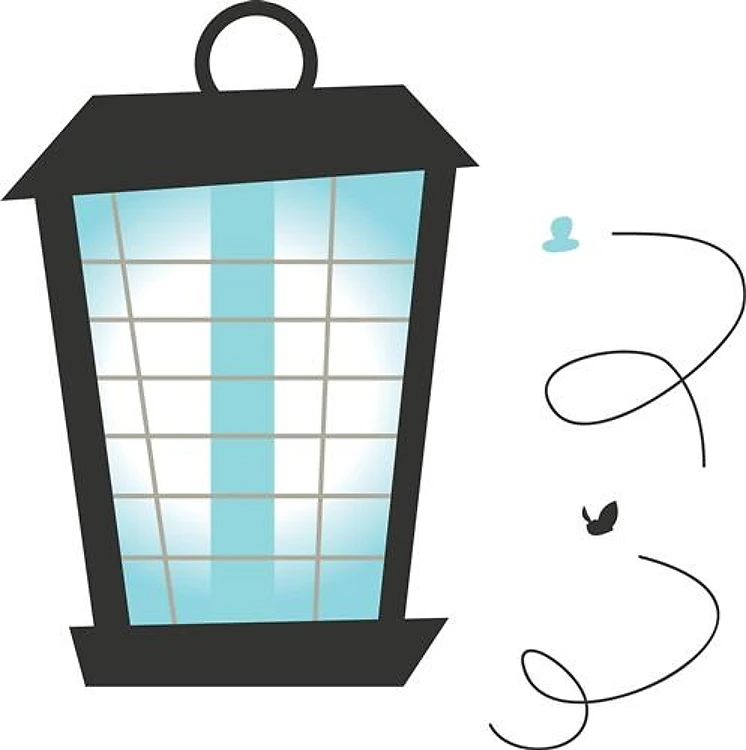 Lighting The Way