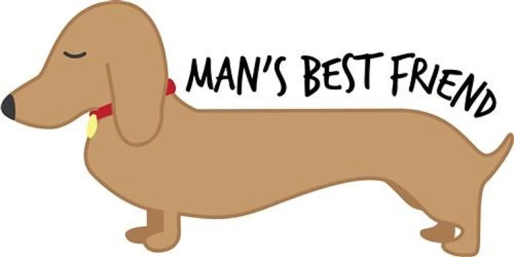 Mans Best Friend
