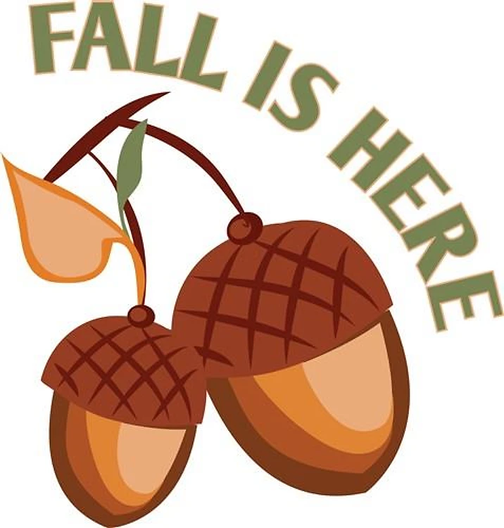 Fall Is Here