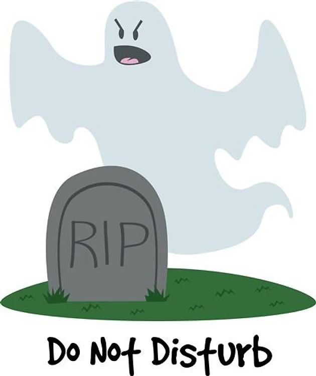 Do Not Disturb