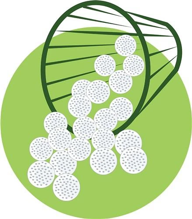 Golf Balls