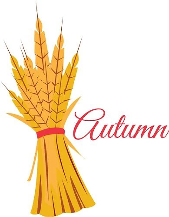 Autumn Wheat