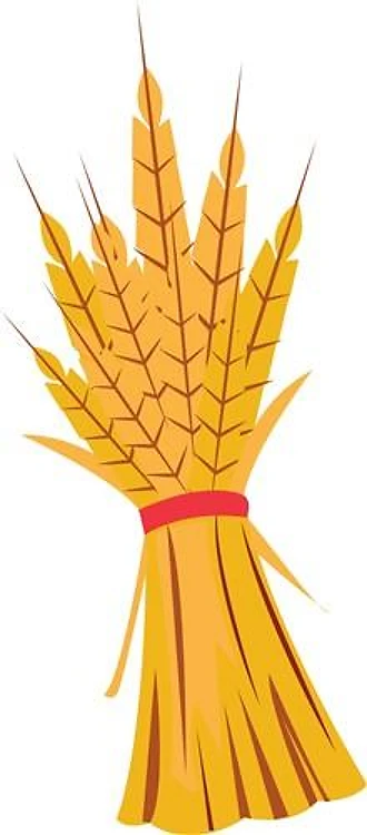 Wheat Bundle