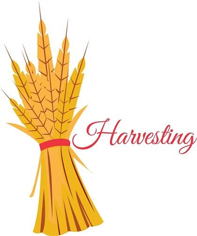 Harvesting