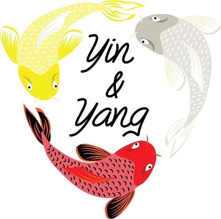 Yin & Yang