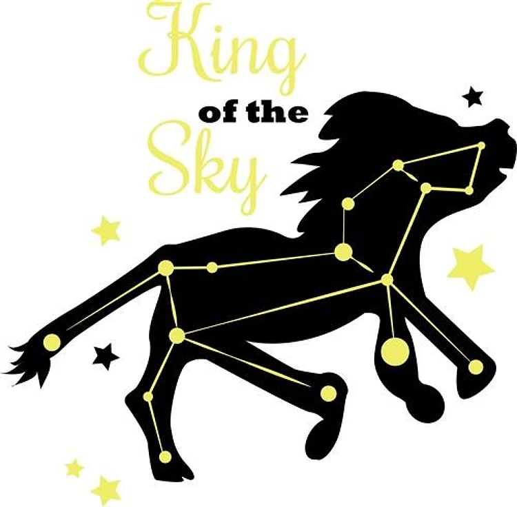 King Of Sky