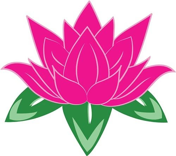 Lotus Flower
