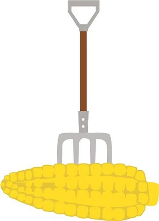 Corn