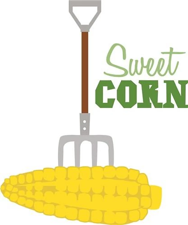 Sweet Corn