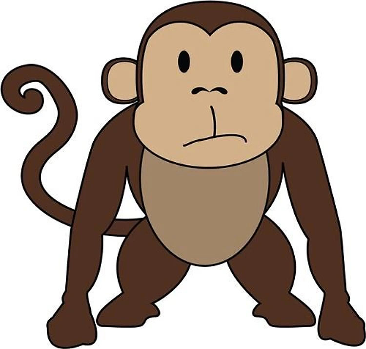 Monkey