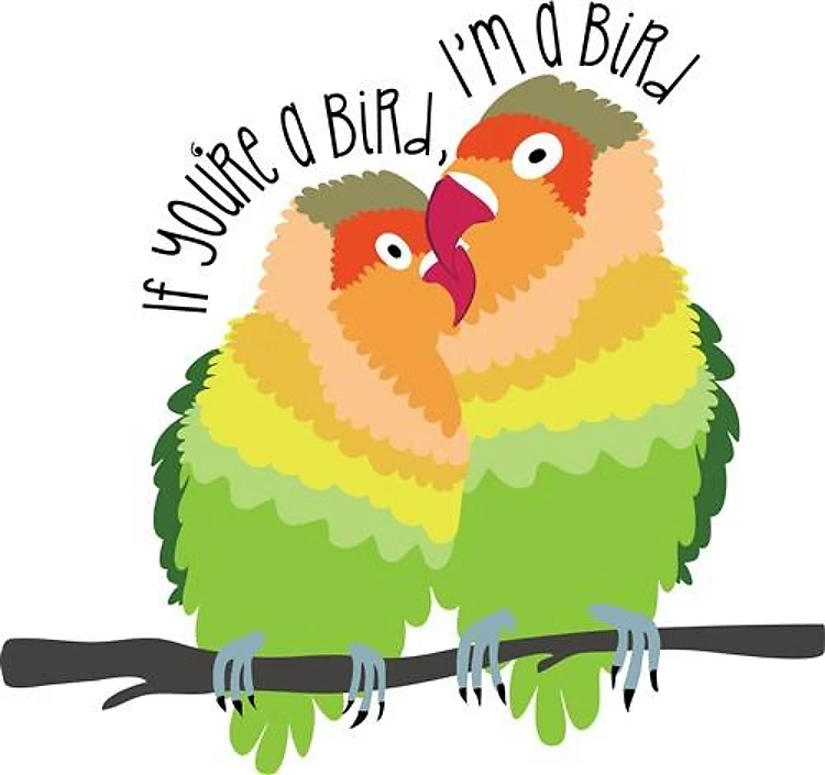 Perfect Pair Love Birds