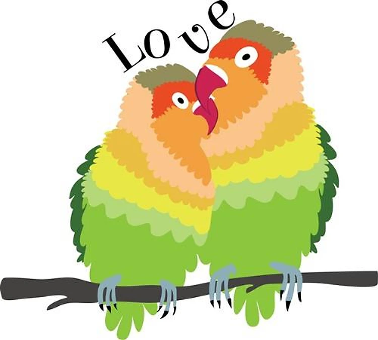 Celebrating Love Birds