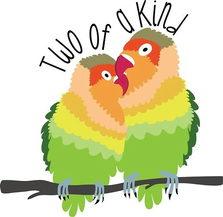 Love You Love Birds