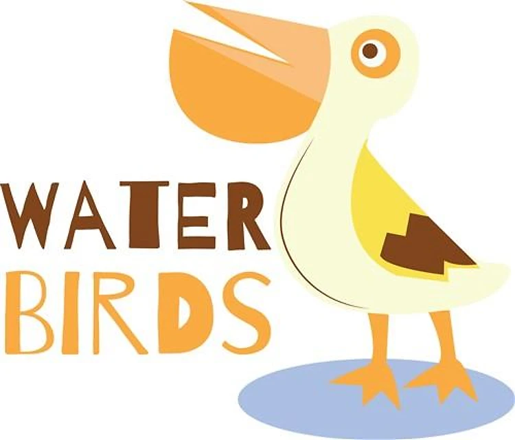 Water Birds