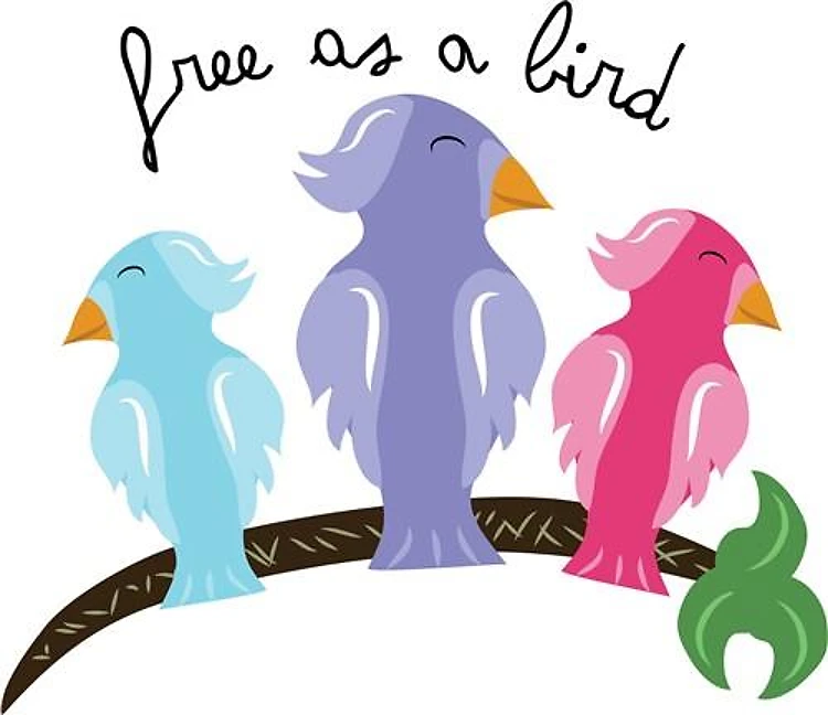 Free As Tropical Birds