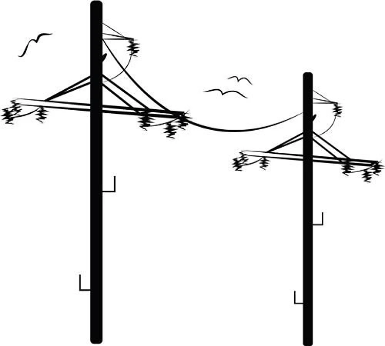 Telephone Poles
