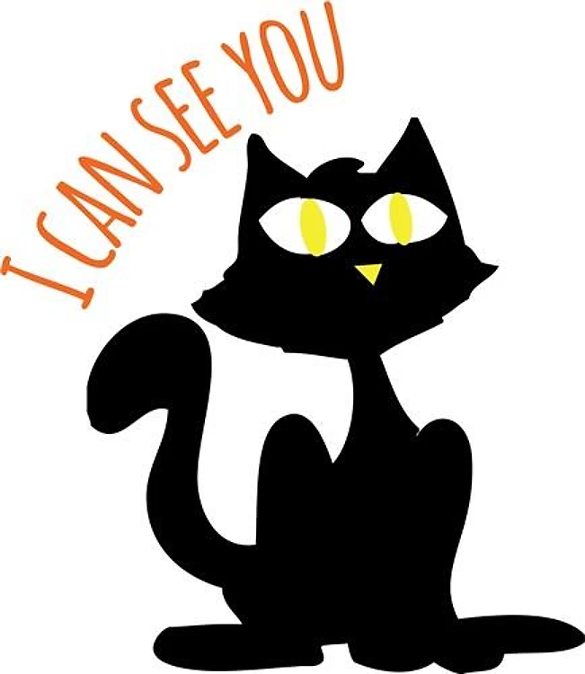 I Can See You