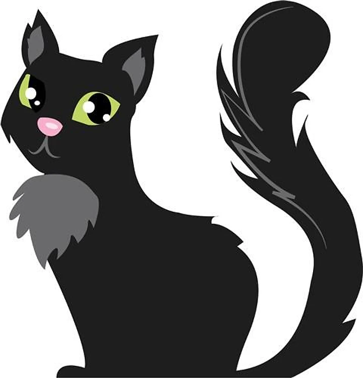 Black Cat