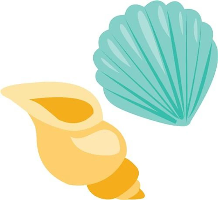 Seashells