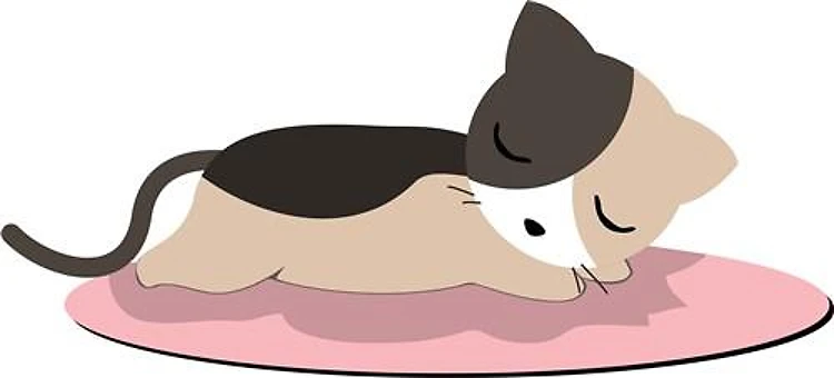 Sleeping Cat