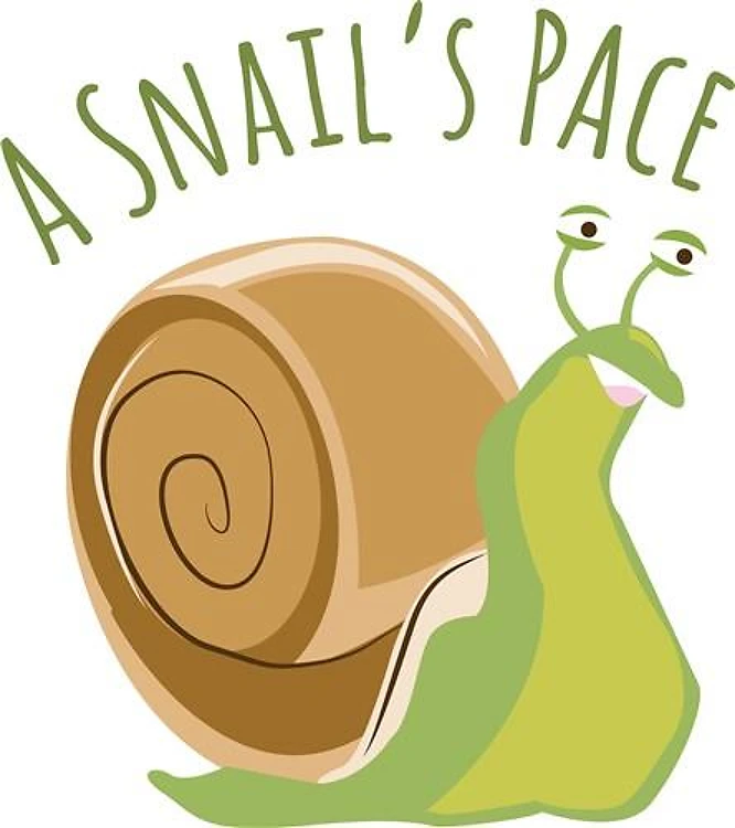 Snails Pace