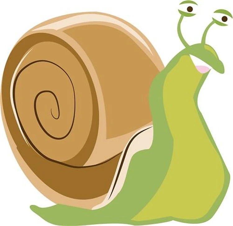 Snail