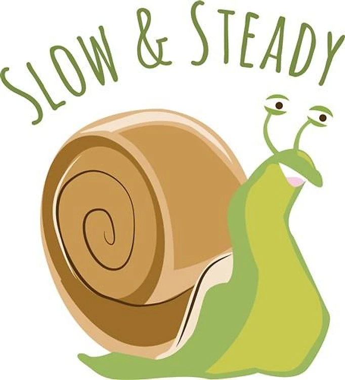 Slow & Steady