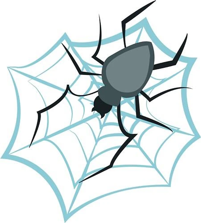 Spider In Web