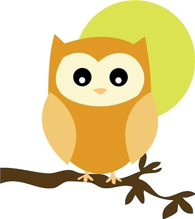 Night Owl