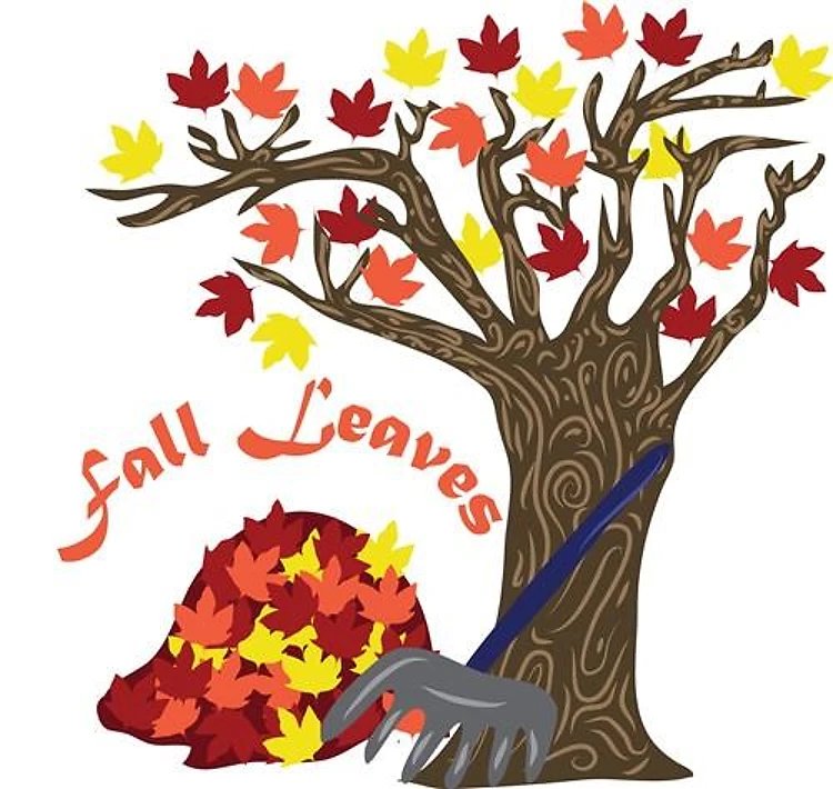 Fall Leaves