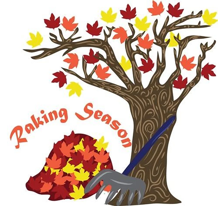 Raking Season
