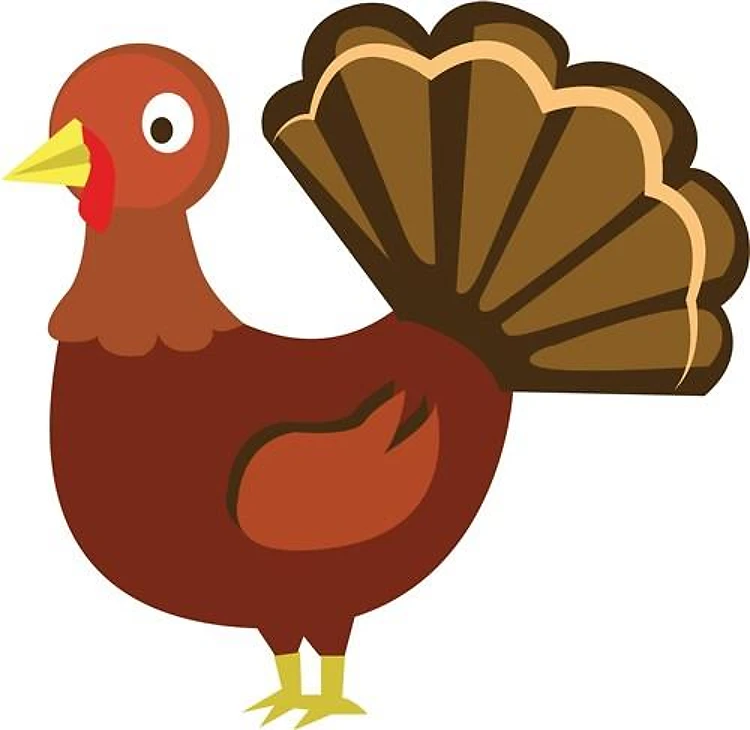 Holiday Turkey