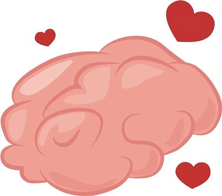 Heart Brain
