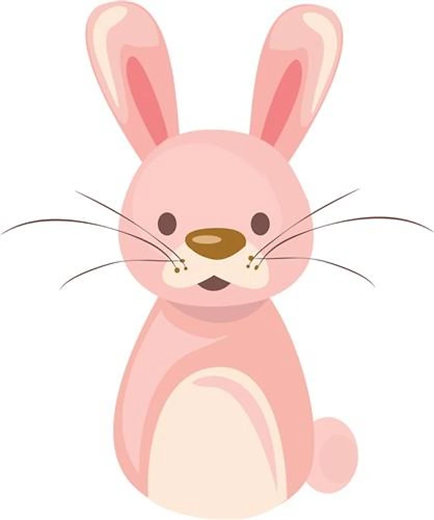 Bunny Rabbit