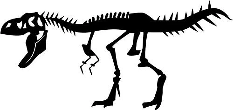 T-Rex Skeleton