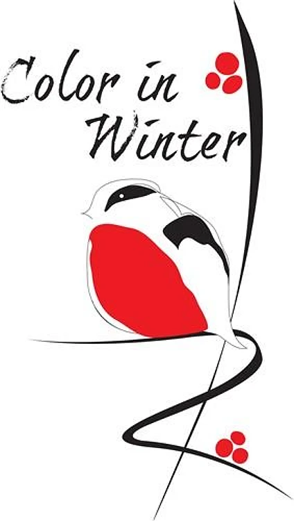 Color In Winter