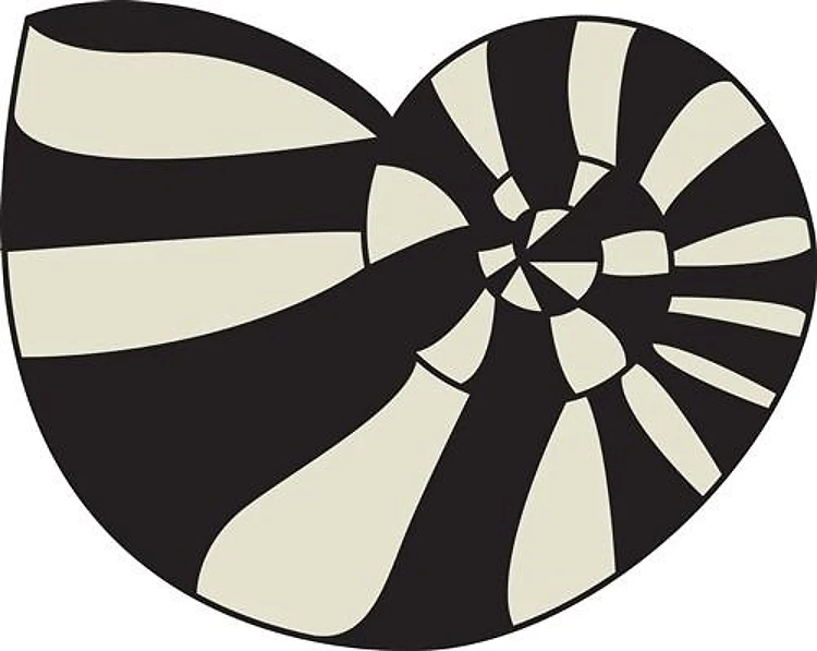 Sea Shell