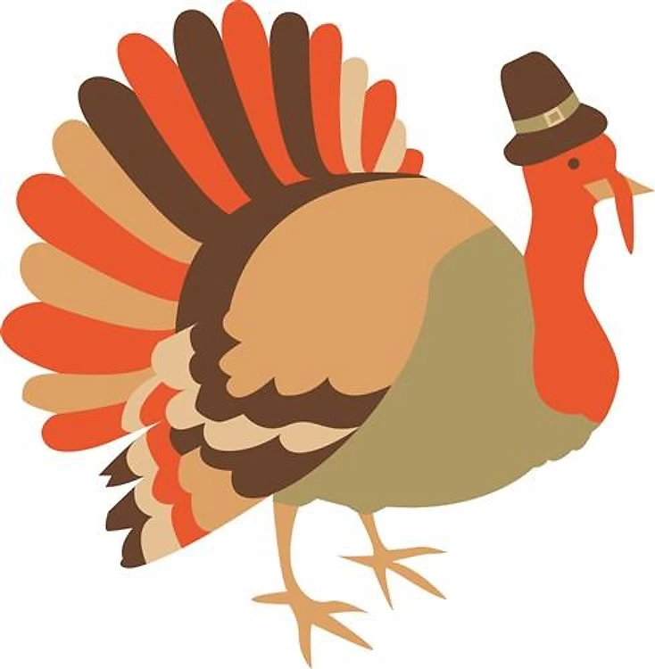 Thanksgiving Turkey