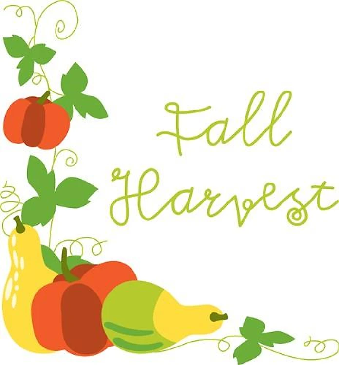 Fall Harvest Corner