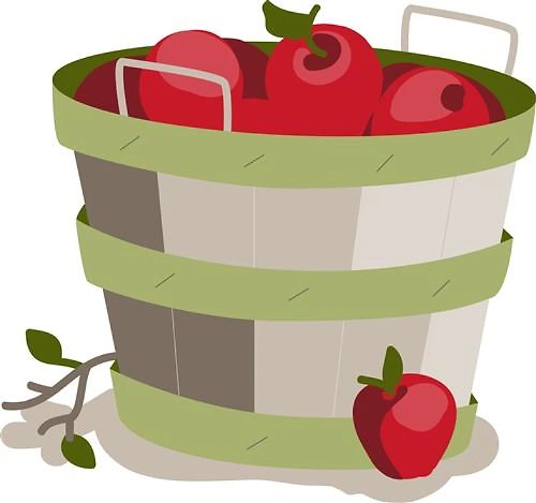 Apple Basket