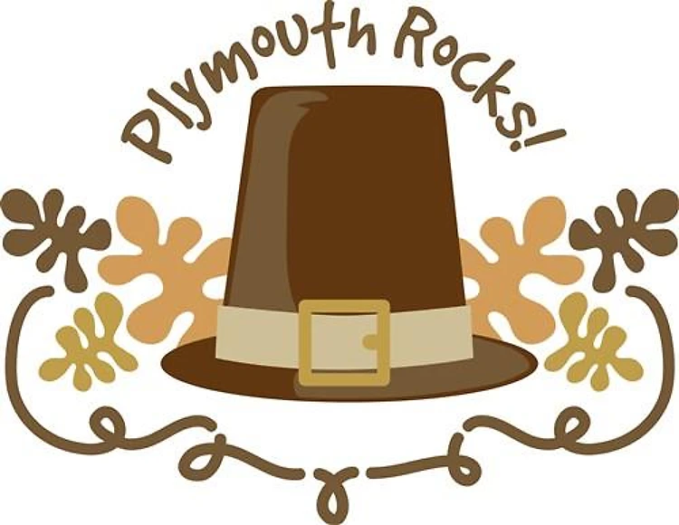 Plymouth Rocks