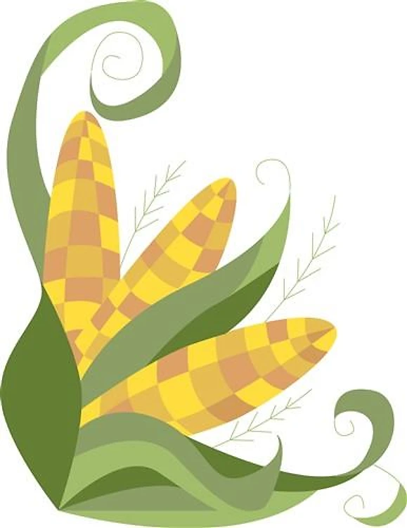 Harvest Corn