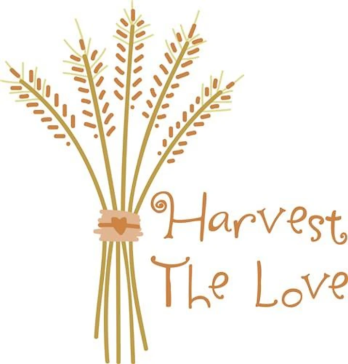 Harvest The Love