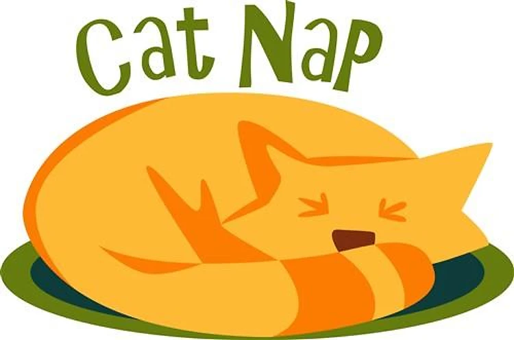 Cat Nap