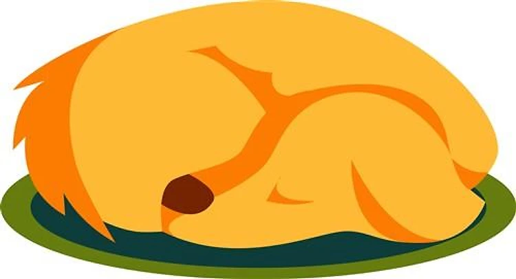 Sleeping Dog