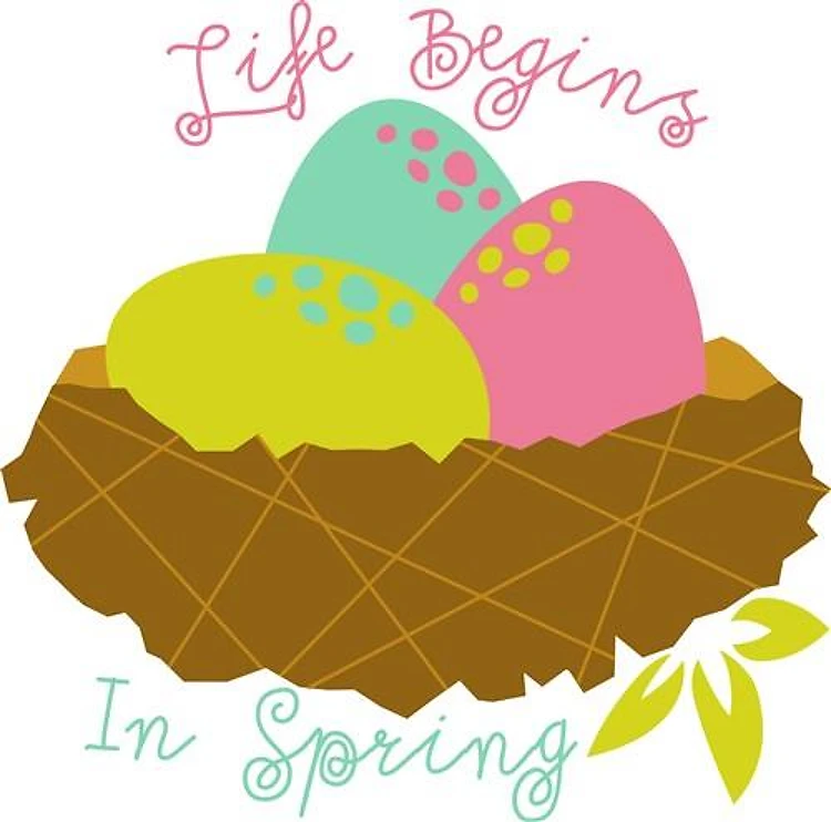 Life Begins In Spring