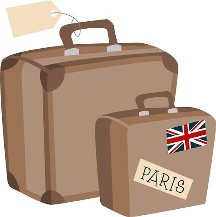 Travel Luggage